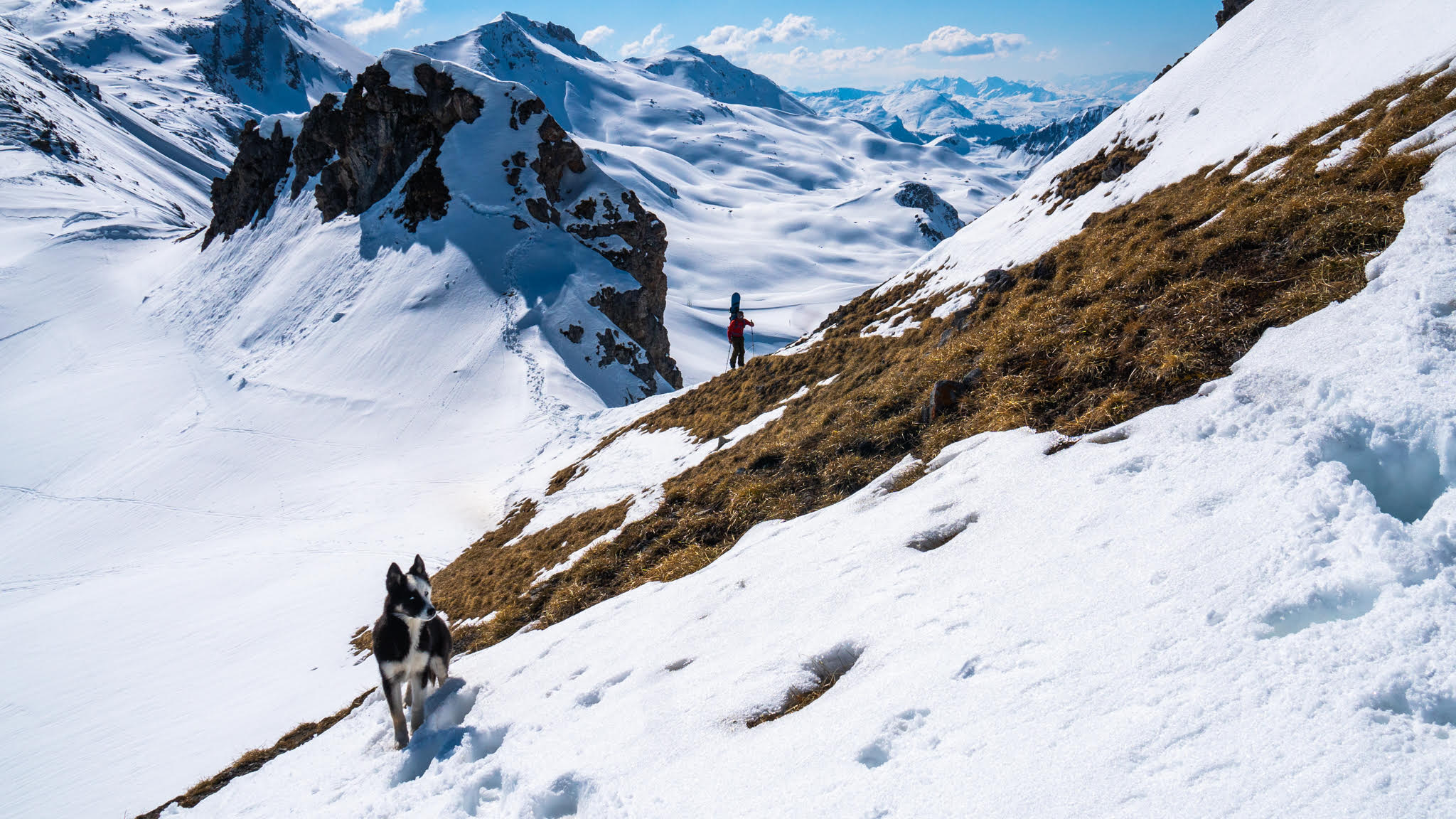 A dog and skier on the mountain in a ski tour day