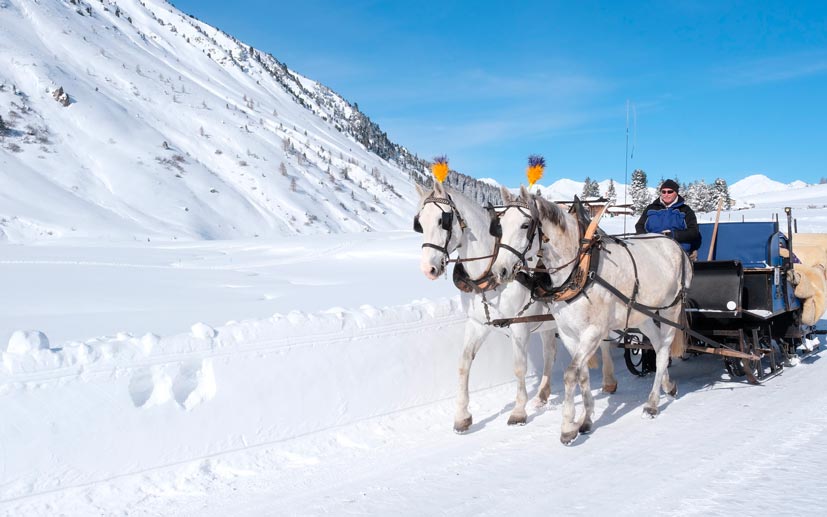 Pferdekutsche im Winter in Davos