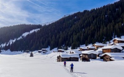 Ski and Snowshoe Safari