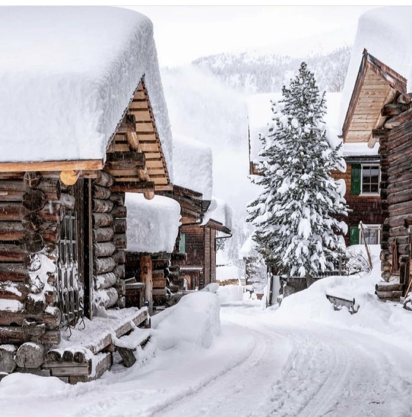 Winter Activities in Davos - Best things to do.