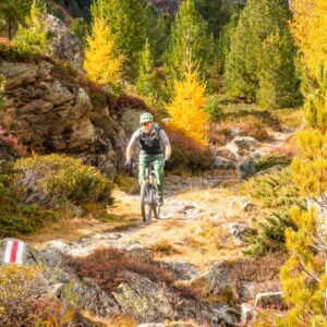 E-Bike Tour Swiss Alps - Engadin